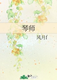 琴师